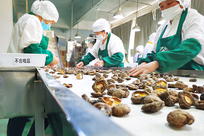 百興食品 風口搶'鮮'，預制菜香飄海內外